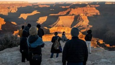 ضرر ترامپ به آمریکا! 5 d8b6d8b1d8b1 d8aad8b1d8a7d985d9be d8a8d987 d8a2d985d8b1db8cdaa9d8a7 692690d77e8ff