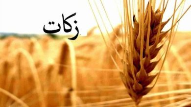 ضرورت هزینه زکات در فعالیتهای عامالمنفعه 6 d8b6d8b1d988d8b1d8aa d987d8b2db8cd986d987 d8b2daa9d8a7d8aa d8afd8b1 d981d8b9d8a7d984db8cd8aad987d8a7db8c d8b9d8a7d985d8a7 6924fcaf854d3