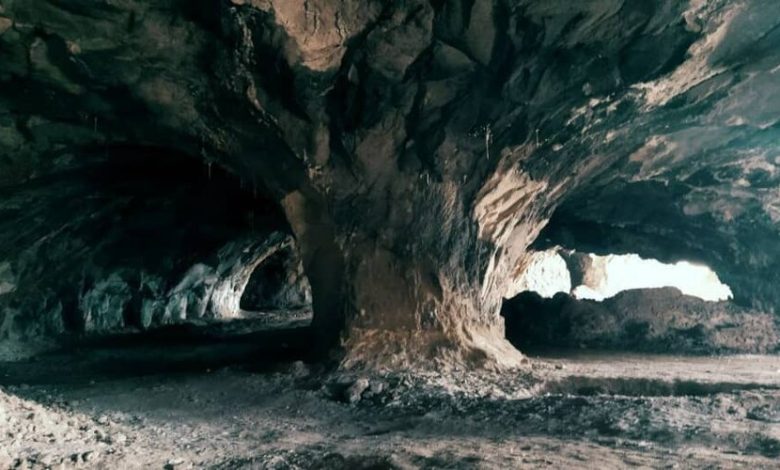 d8bad8a7d8b1 d986d985daa9 d8add8b5d8a7d8b1db8cd8b2d8afd8a7d986d89b d981d8b1d8b5d8aadb8c d8a8d8b1d8a7db8c d8acd8b0d8a8 daafd8b1d8afd8b4 6926742f66b12