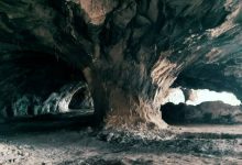 d8bad8a7d8b1 d986d985daa9 d8add8b5d8a7d8b1db8cd8b2d8afd8a7d986d89b d981d8b1d8b5d8aadb8c d8a8d8b1d8a7db8c d8acd8b0d8a8 daafd8b1d8afd8b4 6926742f67bb4