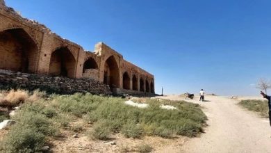 d981d8a7d8b2 d8a7d988d984 d985d8b1d985d8aa daa9d8a7d8b1d988d8a7d986d8b3d8b1d8a7db8c d8b4d8a7d987 d8b9d8a8d8a7d8b3db8c d988d8b1d8afd987 692669ba94378