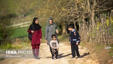 d981d8b1d8a7d8aed988d8a7d986 d8b3d988d985db8cd986 d8b1d988db8cd8afd8a7d8af d8acd8a7db8cd8b2d987 d985d984db8c d8acd988d8a7d986db8c 692449dfd8be9