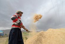 d982d8a7d986d988d986 daa9d8a7d987d8b4 d985d8b9d8a7d981db8cd8aa d8add982d8a8db8cd985d987 d8b3d987d985 daa9d8a7d8b1d981d8b1d985d8a7 6923a5c34e439