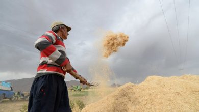 d982d8a7d986d988d986 daa9d8a7d987d8b4 d985d8b9d8a7d981db8cd8aa d8add982d8a8db8cd985d987 d8b3d987d985 daa9d8a7d8b1d981d8b1d985d8a7 6923a5c34e439