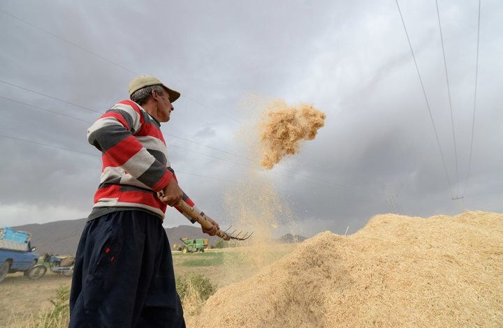 قانون کاهش معافیت حقبیمه سهم کارفرمایی در کارگاههای کشاورزی متوقف نشده است 1 d982d8a7d986d988d986 daa9d8a7d987d8b4 d985d8b9d8a7d981db8cd8aa d8add982d8a8db8cd985d987 d8b3d987d985 daa9d8a7d8b1d981d8b1d985d8a7 6923a5c34e439