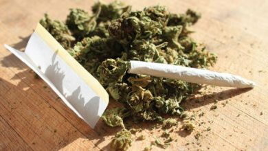 d982d8afd8b1d8aa d985d8aed8b1d8a8 d985d8a7d8afd987 d8a7d8b9d8aadb8cd8a7d8afd8a2d988d8b1 daafd984 d8afd8b1 d8a7db8cd8b1 692455bf0b576