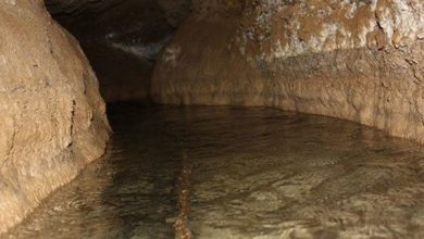 d982d986d8a7d8aad987d8a7db8c d8a8d985d88c daafd986d8acdb8cd986d987d8a7db8c d8acd987d8a7d986db8c d8afd8b1 d8a7d986d8aad8b8 6926aa0a36059