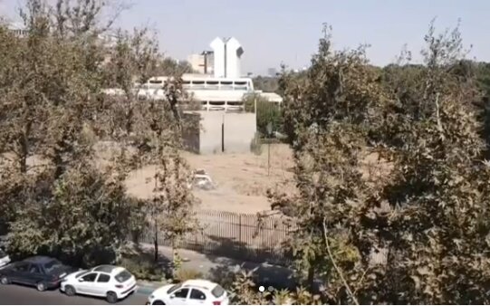 ماجرای قطع درختان موزه فرش 1 d985d8a7d8acd8b1d8a7db8c d982d8b7d8b9 d8afd8b1d8aed8aad8a7d986 d985d988d8b2d987 d981d8b1d8b4 692585ea120ad