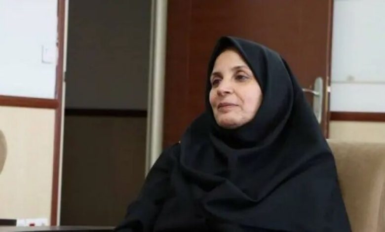 d985d8b3d8a6d988d984 d8afd981d8aad8b1 d8add8b1db8cd985 d8aad987d8b1d8a7d986 d985d986d8b5d988d8a8 d8b4d8af 6924de4edec87