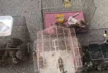 d985d982d8a7d8a8d984d987 d985d8addb8cd8b7 d8b2db8cd8b3d8aa d8a8d8a7 d982d8a7da86d8a7d982 d8addb8cd8a7d8aa d988d8add8b4 d8afd8b1 d8a8d8a7 692319bc98a2b