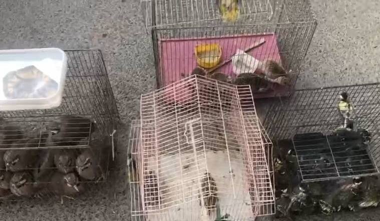 d985d982d8a7d8a8d984d987 d985d8addb8cd8b7 d8b2db8cd8b3d8aa d8a8d8a7 d982d8a7da86d8a7d982 d8addb8cd8a7d8aa d988d8add8b4 d8afd8b1 d8a8d8a7 692319bc98a2b