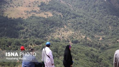 d985d987d985d8aad8b1db8cd986 d8b9d988d8a7d985d984 d985d988d8abd8b1 d8afd8b1 d8a8d8a7d8b2daafd8b4d8aa d8afd988d8a8d8a7d8b1d987db8c 69265a9d08a70