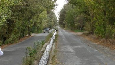 نبود روشنایی مانع استفاده از تنها پارک جنگلی خلیلآباد 5 d986d8a8d988d8af d8b1d988d8b4d986d8a7db8cdb8c d985d8a7d986d8b9 d8a7d8b3d8aad981d8a7d8afd987 d8a7d8b2 d8aad986d987d8a7 d9bed8a7d8b1daa9 6926a7b2f0f50