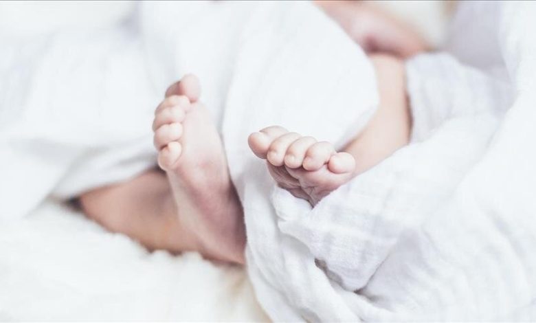 d986d8b1d8ae d9bed8a7db8cdb8cd986 d8b2d8a7d8af d988 d988d984d8af d8afd8b1 d8a7d986daafd984db8cd8b3 d988 d8a7d8add8aad985d8a7d984 d8aa 6923a02e9fe6a