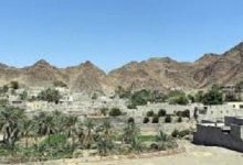 d986d8b3daa9d986d8af d8b8d8b1d981db8cd8aadb8c d8a8db8c d8a8d8afdb8cd984 d8afd8b1 d8afd984 d8b7d8a8db8cd8b9d8aa d8b4d987d8b1 69266ff7f2fa4