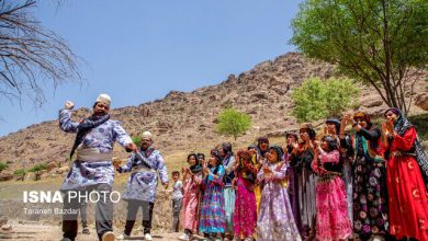 d986d982d8b4 d8a8d8a7d8b2db8cd987d8a7db8c d985d8add984db8c d8afd8b1 d8acd8b0d8a8 daafd8b1d8afd8b4daafd8b1 d988 d8add981 69269551e520d