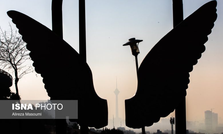 d987d8b4d8afd8a7d8b1 d987d988d8a7d8b4d986d8a7d8b3db8c d986d8b3d8a8d8aa d8a8d987 d8aad8afd8a7d988d985 d8a2d984d988d8afdaafdb8c d987d988 6924323f26973