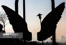 d987d8b4d8afd8a7d8b1 d987d988d8a7d8b4d986d8a7d8b3db8c d986d8b3d8a8d8aa d8a8d987 d8aad8afd8a7d988d985 d8a2d984d988d8afdaafdb8c d987d988 6924323f64da5