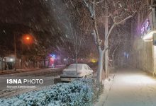 d987d8b4d8afd8a7d8b1 db8cd8aed8a8d986d8afd8a7d986 d988 d8a2d985d8a7d8afd987d8a8d8a7d8b4 d987d984d8a7d984d8a7d8add985d8b1 6924360807583