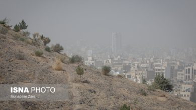 d987d988d8a7db8c d8aad987d8b1d8a7d986 d987d985da86d986d8a7d986 d8a2d984d988d8afd987 d8afd8b1 d8b1d988d8b2d987d8a7db8c d9bedb8cd8b4 d8b1 692318a880c0b