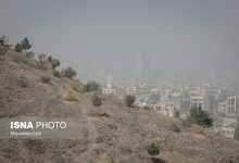 d987d988d8a7db8c d8aad987d8b1d8a7d986 d987d985da86d986d8a7d986 d8a2d984d988d8afd987 d8afd8b1 d8b1d988d8b2d987d8a7db8c d9bedb8cd8b4 d8b1 692318a8b0b64