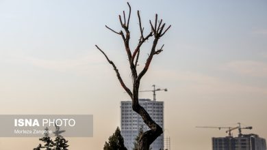 واکنش شهرداری به گزارش «مجوزهای برجسازی» و پاسخ مجله خبری آبادی 118 4 d988d8a7daa9d986d8b4 d8b4d987d8b1d8afd8a7d8b1db8c d8a8d987 daafd8b2d8a7d8b1d8b4 d985d8acd988d8b2d987d8a7db8c d8a8d8b1d8acd8b3 692319312a020