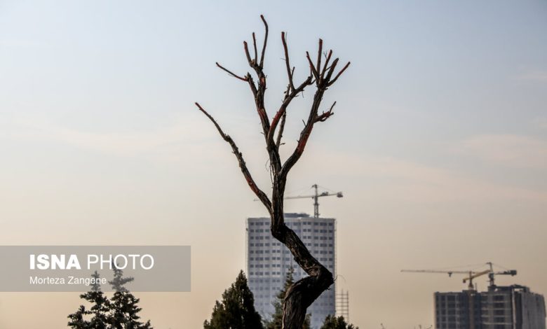 واکنش شهرداری به گزارش «مجوزهای برجسازی» و پاسخ مجله خبری آبادی 118 1 d988d8a7daa9d986d8b4 d8b4d987d8b1d8afd8a7d8b1db8c d8a8d987 daafd8b2d8a7d8b1d8b4 d985d8acd988d8b2d987d8a7db8c d8a8d8b1d8acd8b3 692319312a020