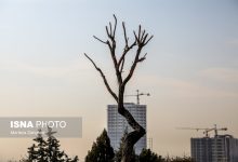 d988d8a7daa9d986d8b4 d8b4d987d8b1d8afd8a7d8b1db8c d8a8d987 daafd8b2d8a7d8b1d8b4 d985d8acd988d8b2d987d8a7db8c d8a8d8b1d8acd8b3 69231931cbe60