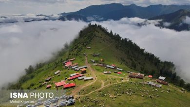 ورود بیش از ۷ میلیون مسافر نوروزی به گیلان 4 d988d8b1d988d8af d8a8db8cd8b4 d8a7d8b2 dbb7 d985db8cd984db8cd988d986 d985d8b3d8a7d981d8b1 d986d988d8b1d988d8b2db8c d8a8d987 daafdb8cd984 6926cf79b52ec