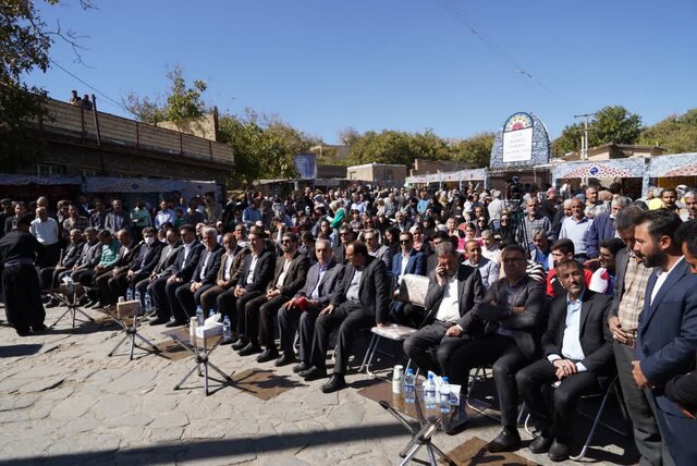 "ورکانه" به قطب پرورش اسب اصیل در کشور تبدیل شود