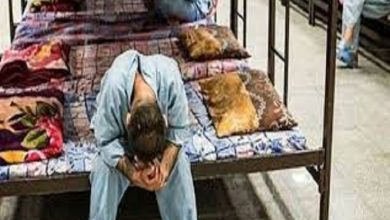 d988d8b6d8b9db8cd8aa d985d8b1d8a7daa9d8b2 d8afd8b1d985d8a7d986 d8b3d8b1d9bed8a7db8cdb8c d8a7d8b9d8aadb8cd8a7d8af d985d8aad8a7d8af 692453831520b