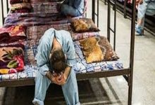 d988d8b6d8b9db8cd8aa d985d8b1d8a7daa9d8b2 d8afd8b1d985d8a7d986 d8b3d8b1d9bed8a7db8cdb8c d8a7d8b9d8aadb8cd8a7d8af d985d8aad8a7d8af 692453831941c