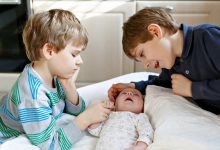 d988db8cd8afdb8cd988 d8acd987d8a7d986 d8afd8b1 d985d8b3db8cd8b1 daa9d8a7d987d8b4 d981d8b1d8b2d986d8afd8a2d988d8b1db8cd89b da86d987 d8a2 69243dcab4da8