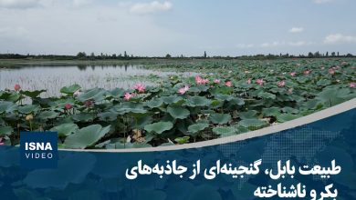 d988db8cd8afdb8cd988 d8b7d8a8db8cd8b9d8aa d8a8d8a7d8a8d984d88c daafd986d8acdb8cd986d987d8a7db8c d8a7d8b2 d8acd8a7d8b0d8a8d987 692688244c3f8