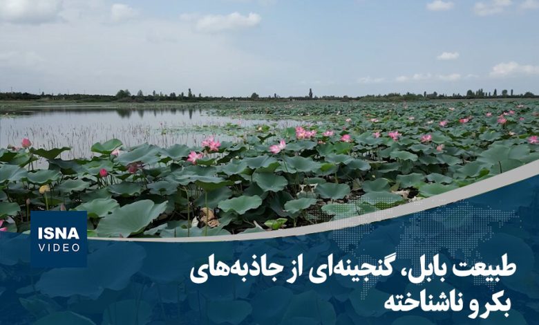 d988db8cd8afdb8cd988 d8b7d8a8db8cd8b9d8aa d8a8d8a7d8a8d984d88c daafd986d8acdb8cd986d987d8a7db8c d8a7d8b2 d8acd8a7d8b0d8a8d987 692688244c3f8