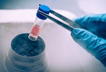 d988db8cd8afdb8cd988 d987d8b4d8afd8a7d8b1d89b d9bedb8cd8a7d985d8afd987d8a7db8c d8aed8b7d8b1d986d8a7daa9 d8b3d984d988d984 d8afd8b1 692449499e053