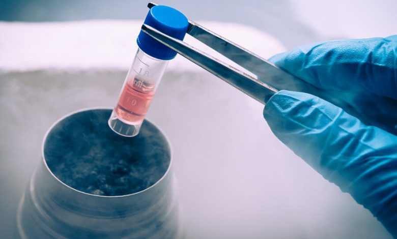 ویدیو/ هشدار؛ پیامدهای خطرناک «سلول درمانی» غیرمجاز 1 d988db8cd8afdb8cd988 d987d8b4d8afd8a7d8b1d89b d9bedb8cd8a7d985d8afd987d8a7db8c d8aed8b7d8b1d986d8a7daa9 d8b3d984d988d984 d8afd8b1 692449499e053