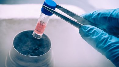 d988db8cd8afdb8cd988 d987d8b4d8afd8a7d8b1d89b d9bedb8cd8a7d985d8afd987d8a7db8c d8aed8b7d8b1d986d8a7daa9 d8b3d984d988d984 d8afd8b1 69244949ece43