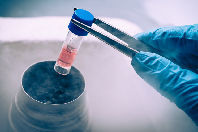 ویدیو/ هشدار؛ پیامدهای خطرناک «سلول درمانی» غیرمجاز ویدیو/ هشدار؛ پیامدهای خطرناک «سلول درمانی» غیرمجاز