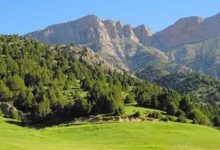 d9bed8a7d8b1daa9 d985d984db8c d8aad986d8afd988d8b1d987 daafd986d8acdb8cd986d987d8a7db8c d8b7d8a8db8cd8b9db8c d8afd8b1 d8a7db8c 6926e3d0bf60c