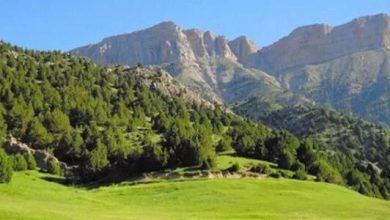 d9bed8a7d8b1daa9 d985d984db8c d8aad986d8afd988d8b1d987 daafd986d8acdb8cd986d987d8a7db8c d8b7d8a8db8cd8b9db8c d8afd8b1 d8a7db8c 6926e3d0bf60c