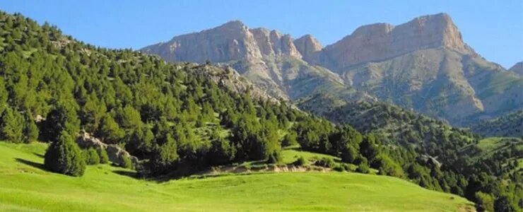 d9bed8a7d8b1daa9 d985d984db8c d8aad986d8afd988d8b1d987 daafd986d8acdb8cd986d987d8a7db8c d8b7d8a8db8cd8b9db8c d8afd8b1 d8a7db8c 6926e3d0bf60c