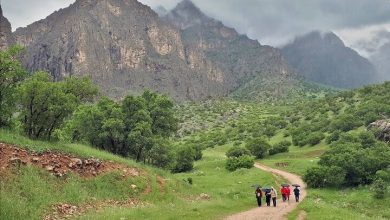 da86d8b1d8a7 d8b3d8b1d985d8a7db8cd987daafd8b0d8a7d8b1db8c d8afd8b1 da86d8a7d984d8a7d8a8d987 d8a8d987 d986d8aadb8cd8acd987 d986 692671796a51b