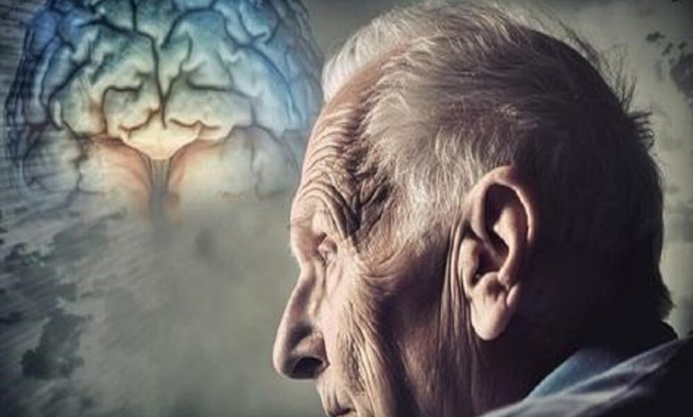 da86d8b7d988d8b1 d8a2d984d988d8afdaafdb8c d987d988d8a7 d985d8bad8b2 d8b1d8a7 d8afda86d8a7d8b1 d9bedb8cd8b1db8c d8b2d988d8af 692401b9b6643