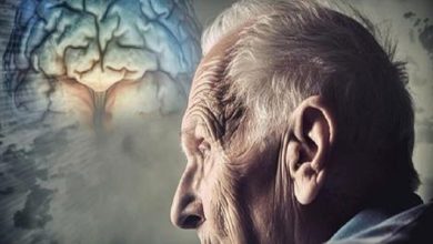 da86d8b7d988d8b1 d8a2d984d988d8afdaafdb8c d987d988d8a7 d985d8bad8b2 d8b1d8a7 d8afda86d8a7d8b1 d9bedb8cd8b1db8c d8b2d988d8af 692401b9e1ea2