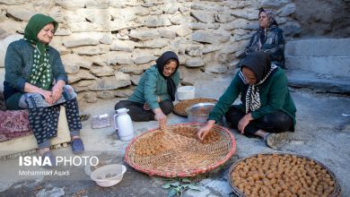 چه کسانی میتوانند در صندوق بیمه اجتماعی روستاییان خود را بیمه کنند؟ 4 da86d987 daa9d8b3d8a7d986db8c d985db8cd8aad988d8a7d986d986d8af d8afd8b1 d8b5d986d8afd988d982 d8a8db8cd985d987 d8a7d8acd8aad985 692319c610694