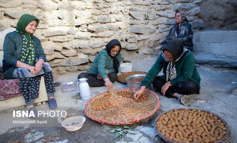 چه کسانی میتوانند در صندوق بیمه اجتماعی روستاییان خود را بیمه کنند؟ 1 da86d987 daa9d8b3d8a7d986db8c d985db8cd8aad988d8a7d986d986d8af d8afd8b1 d8b5d986d8afd988d982 d8a8db8cd985d987 d8a7d8acd8aad985 692319c610694