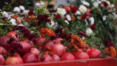 da86d987d8a7d8b1d985db8cd986 d8acd8b4d986d988d8a7d8b1d987 d985d984db8c d8a7d986d8a7d8b1 d8b3d8a7d988d987 d8a8d8a7 d8b1d986daaf 69267e2f870fd