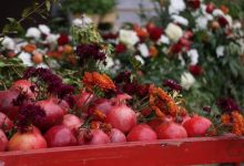 da86d987d8a7d8b1d985db8cd986 d8acd8b4d986d988d8a7d8b1d987 d985d984db8c d8a7d986d8a7d8b1 d8b3d8a7d988d987 d8a8d8a7 d8b1d986daaf 69267e319921f