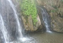 daa9d8a7d8b1d988d8a7d986d8afd8b1 d8acd8a7d8b0d8a8d987 d8b2db8cd8a8d8a7db8c daafd8b1d8afd8b4daafd8b1db8c d8aed8a7d8b4 6926d5a0f1928